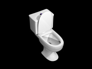 toilet fast 3D 모델