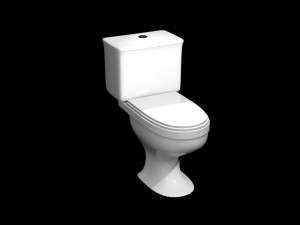toilet fast 3D 모델
