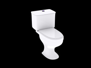 toilet fast 3D 모델