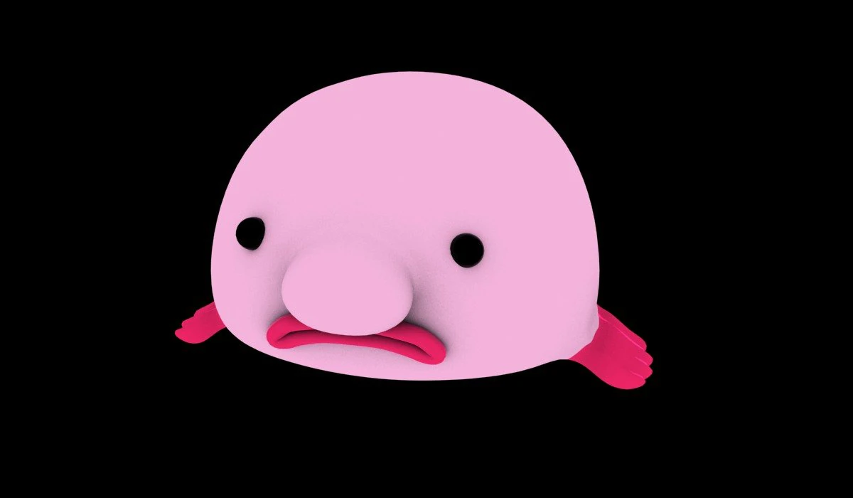 fish drop 3D Model .c4d .max .obj .3ds .fbx .stl .blend 