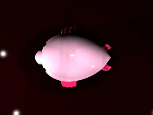 fish drop 3D Model