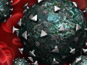 coronavirus covid-19 3D Model