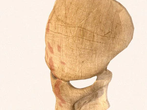 maschera da predatore Modello 3D