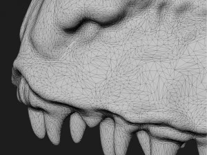 अजगर 3D मॉडल