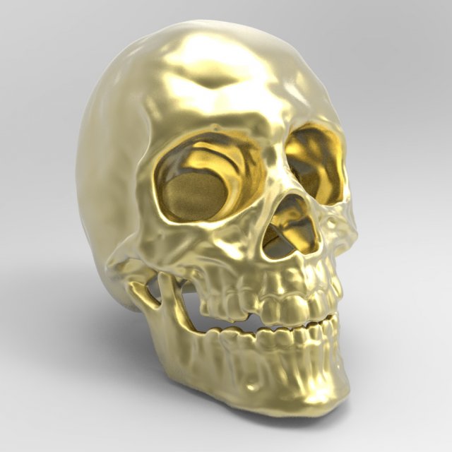 skull 3D 模型 .c4d .max .obj .3ds .fbx .stl .blend 