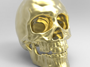 skull 3D Model