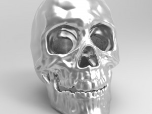 skull 3D 模型