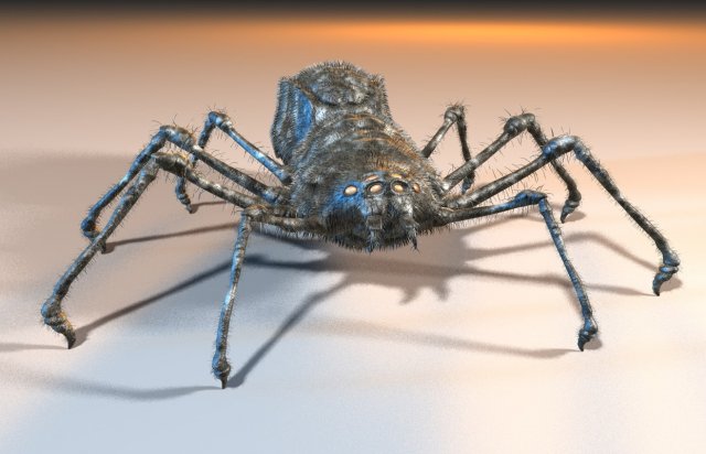 spider 3D Modell .c4d .max .obj .3ds .fbx .stl .blend