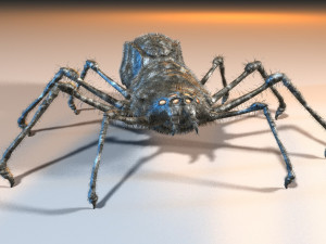 spider 3D Model