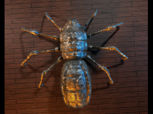 spider 3D Modell