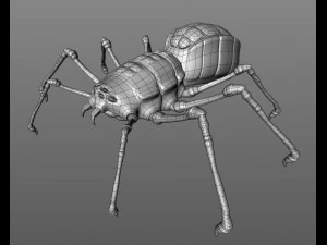spider 3D Model