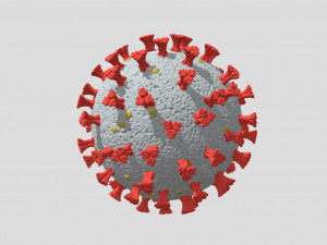 coronavirus covid-19 3D Model