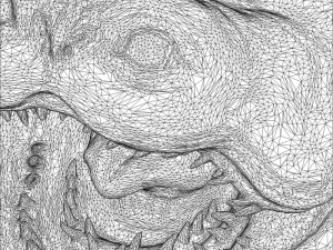 woola 3D 模型