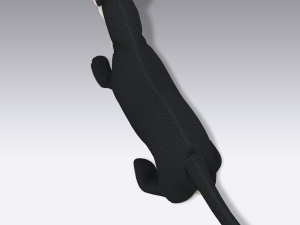 ferret Modelo 3D