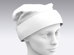 cap 3D 模型