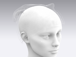 cap 3D 模型