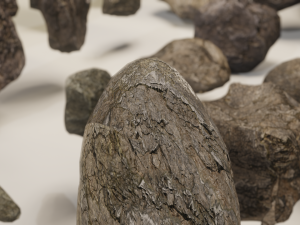 rocks 3D मॉडल