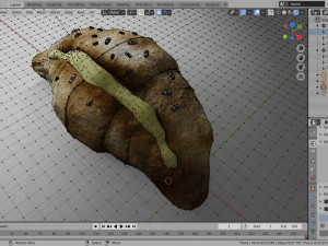 croissant whit cream Modelo 3D