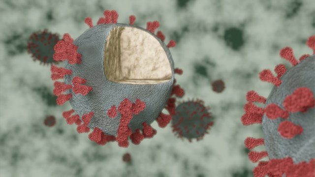 corona virus - covid 19 Model 3D .c4d .max .obj .3ds .fbx .stl .blend 