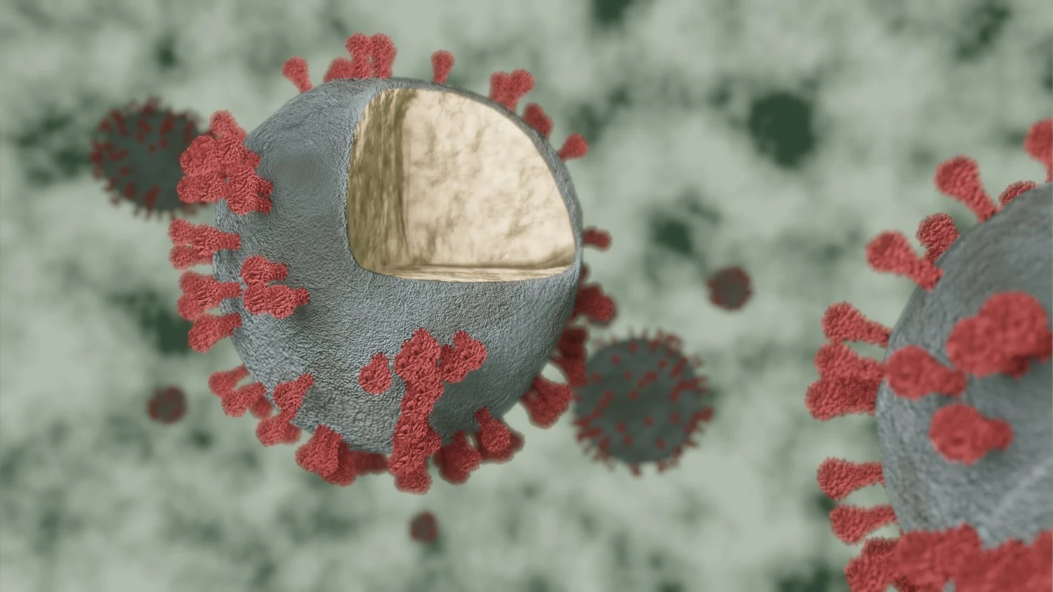 corona virus - covid 19 3D Model .c4d .max .obj .3ds .fbx .stl .blend 