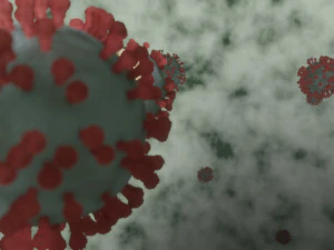 corona virus - covid 19 3D Model