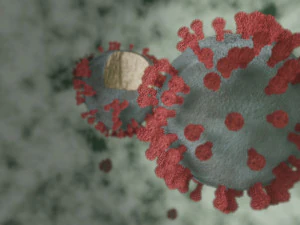 corona virus - covid 19 3D Model