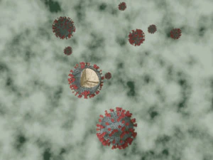 corona virus - covid 19 3D Model