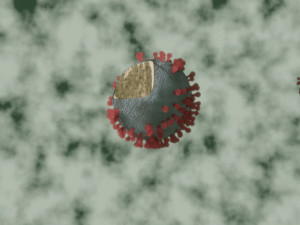 corona virus - covid 19 Model 3D