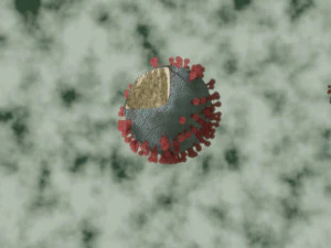 corona virus - covid 19 3D Model