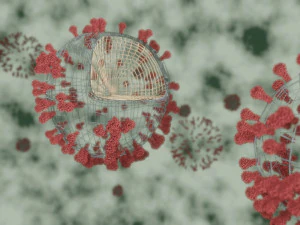 corona virus - covid 19 3D Model