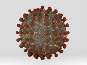coronavirus detail - covid19 3D Modell