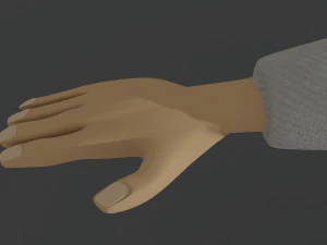 rigged man cartoon 3D Model