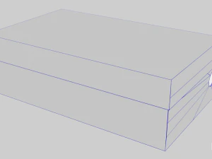 low poly cardboard shoe box 3D Model