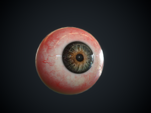 realistic eye 3D Model