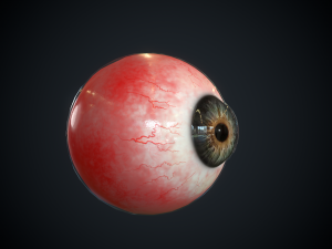 realistic eye 3D मॉडल