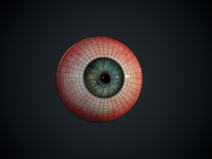 realistic eye 3D मॉडल