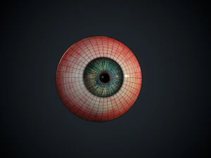ojo realista Modelo 3D