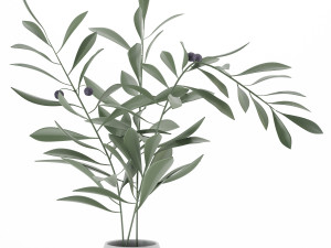 decor ceramic set06 3D Model