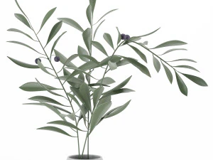 decor ceramic set06 3D Model