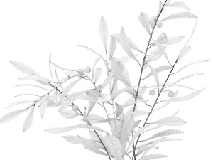 decorationset24 3D-Modell