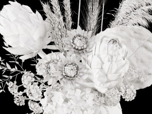 Dried flower s Model 3D