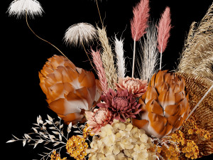 Dried flower s Model 3D