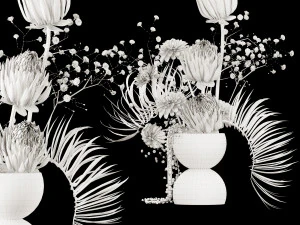 Dried Flowers in Vase 3D Model