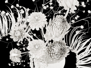 Dried Flowers in Vase 3D Модель