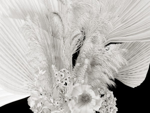 Dry-flowers s 3D 模型