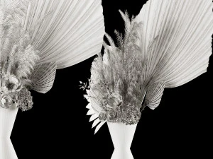 Dry-flowers s 3D Model