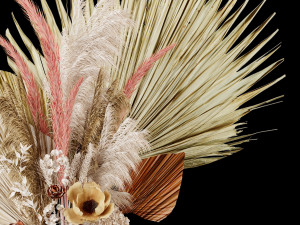 Dry-flowers s 3D 模型