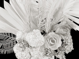 Dry-flowers s 3D-Modell