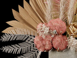 Dry-flowers s 3D Model
