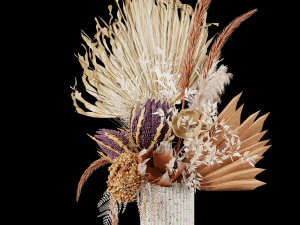 Dry-flowers s 3D Model